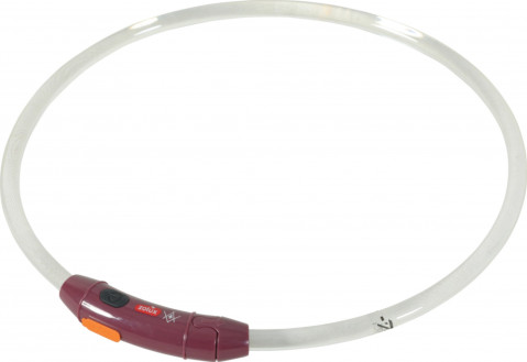 ZOLUX Bivouak LED Silikon transparent rot - Hundehalsband - 30-60 cm - Fotogalerie 2