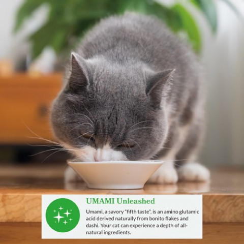 INABA Dashi Delights Huhn und Thunfisch in Brühe – Delikatesse für Katzen – 3x70 g + 1x70 g Gratis! - Fotogalerie 2