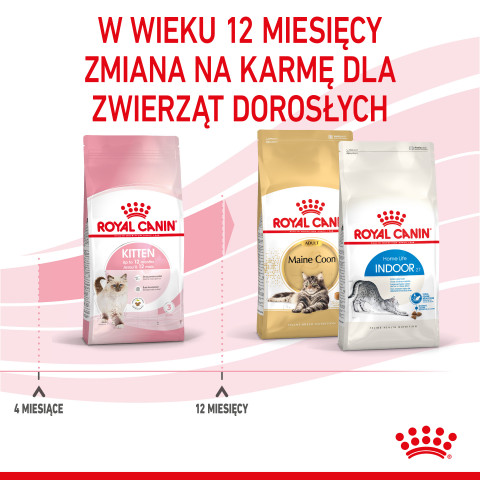 Royal Canin FHN Kitten - Trockenfutter für Kätzchen - 4kg - Fotogalerie 2