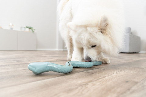 TRIXIE Snack-Snake - Hundespielzeug - 27cm - Fotogalerie 3