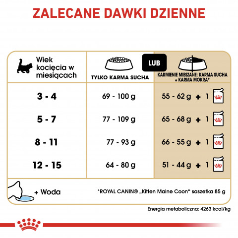ROYAL CANIN Maine Coon Kitten - Trockenfutter für Katzen - 2 kg - Fotogalerie 3