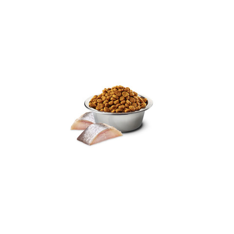 FARMINA N&D Spirulina Herring - Trockenfutter für Katzen - 1.5 kg - Fotogalerie 2