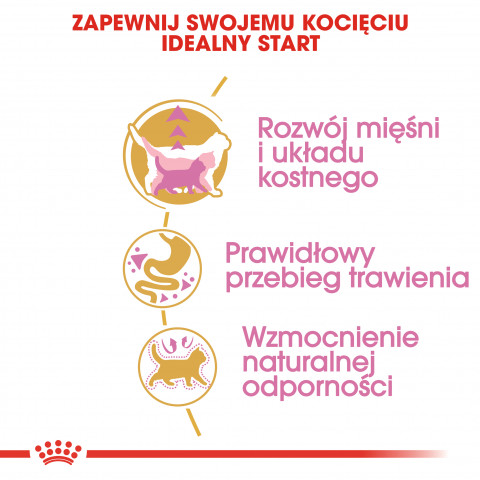 Royal Canin British Shorthair Kitten Katzen-Trockenfutter 2 kg Geflügel, Reis, Gemüse - Fotogalerie 5