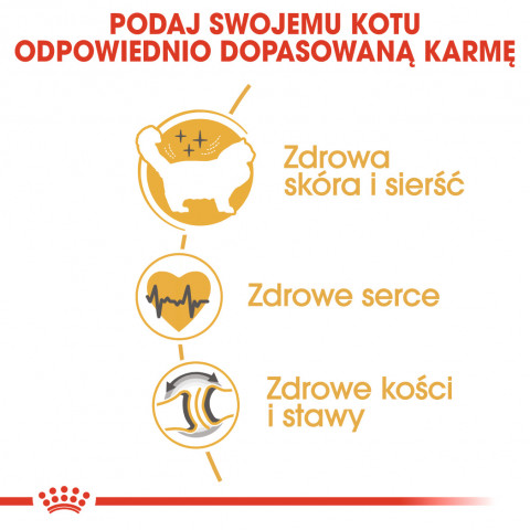 Royal Canin FBN Ragdoll Adult Trockenfutter für Katzen 2 kg - Fotogalerie 6