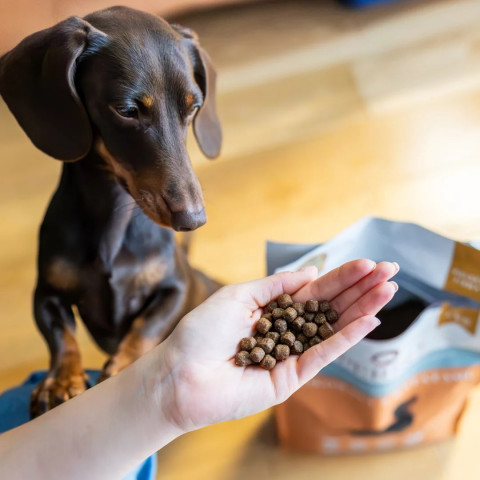 PERRO Beef with sweet potatoes Small breeds - trockenfutter für Hunde - 1kg - Fotogalerie 2