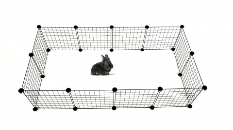  C&C Modularer Hundeauslauf 145x75x37 cm - Fotogalerie 10