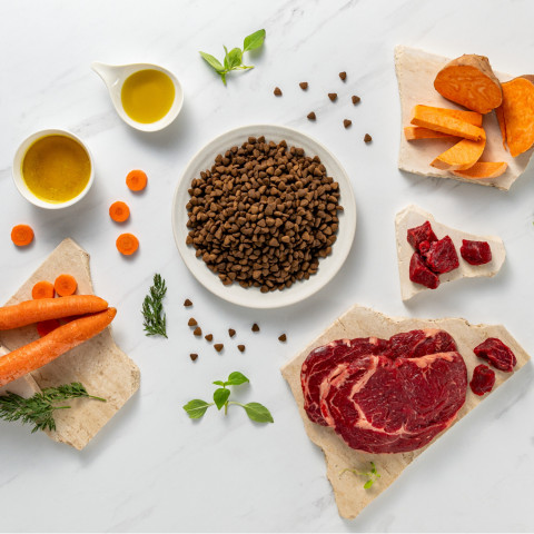 RAW PALEO Ultra Mini Adult Beef – Trockenfutter für Hunde – 2 kg - Fotogalerie 8