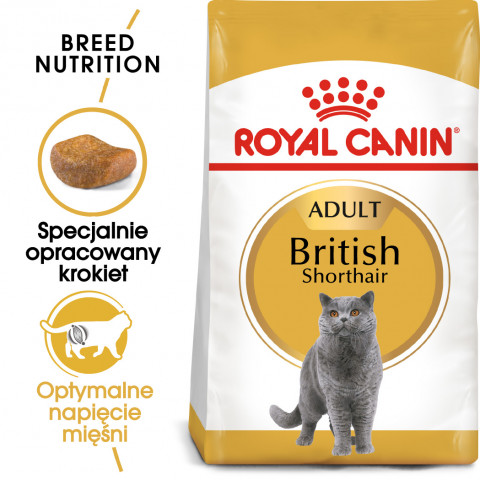 ROYAL CANIN FBN British Shorthair Adult Trockenfutter für Katzen - 10 kg - Fotogalerie 4