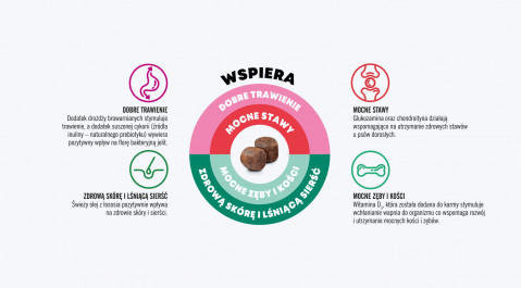 JOHN DOG Good Form Adult Chicken with beef - Trockenfutter für Hunde - 12 kg - Fotogalerie 3