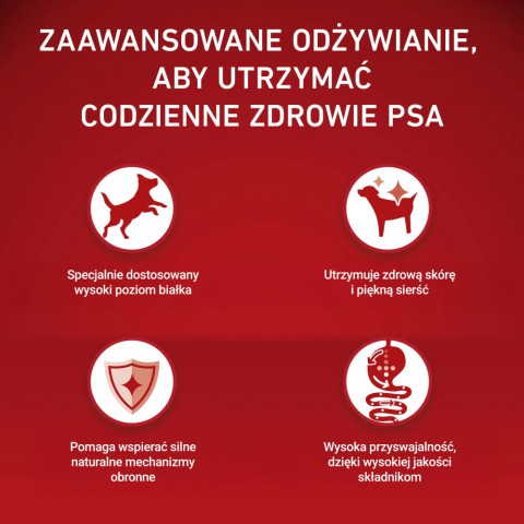 PURINA One Sensitive Mini/Small Rich in beef with rice - trockenfutter für Hunde - 1,5kg - Fotogalerie 3