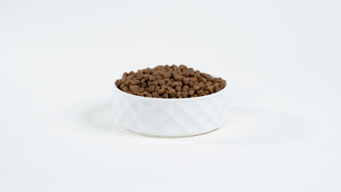 BULT Salmon with trout - trockenfutter für Hunde - 2x12kg - Fotogalerie 6