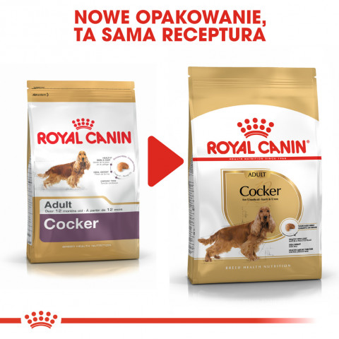 ROYAL CANIN Adult Cocker - Trockenfutter für Hunde - 12 kg - Fotogalerie 2