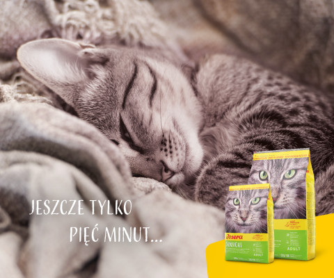 Josera SensiCat Katzen-Trockenfutter 2 kg Adult Leber - Fotogalerie 4