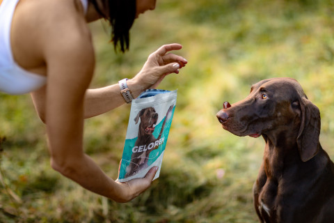 GELOREN Large dog Joints - hundevitamine - 420g - Fotogalerie 4