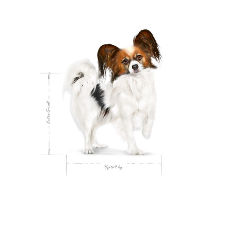 ROYAL CANIN Adult x- small SHN - trockenfutter für Hunde - 3kg - Fotogalerie 3