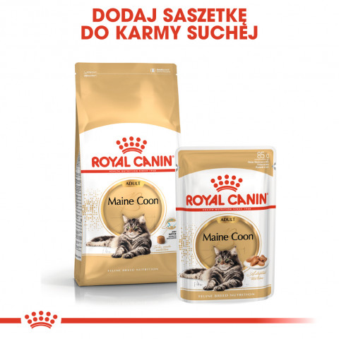 ROYAL CANIN FBN Maine Coon - Nassfutter für Katzen - Beutel 12x 85g - Fotogalerie 3