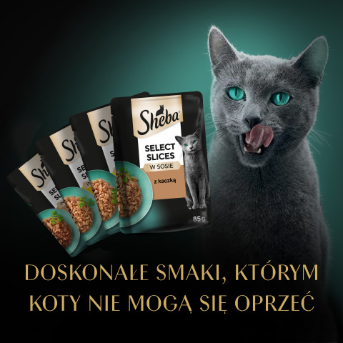 SHEBA Selection Select Slices Poultry Flavours - Katzennassfutter - 40 x 85g - Fotogalerie 11