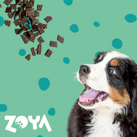 ZOYA ColdPRO Deer - trockenfutter für Hunde - 1kg - Fotogalerie 4