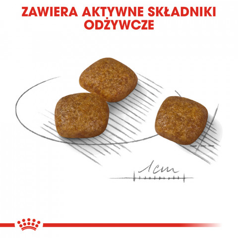 ROYAL CANIN Mini Urinary Care - Trockenfutter für Hunde - 3 kg - Fotogalerie 4