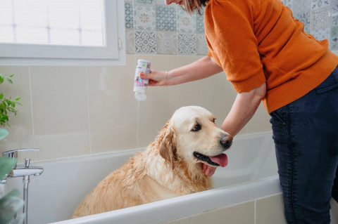 VIRBAC Allerderm empfindliche haut - shampoo für hunde und katzen - 250 ml - Fotogalerie 2