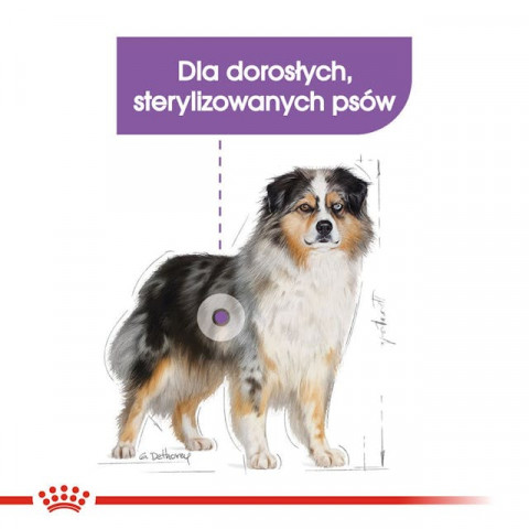 ROYAL CANIN CCN Medium Sterilised Adult - Trockenfutter für Hunde - 12 kg - Fotogalerie 10