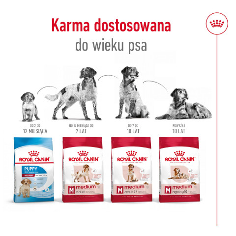 ROYAL CANIN Adult Medium - trockenfutter für Hunde - 4kg - Fotogalerie 4