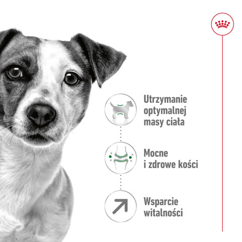 ROYAL CANIN Mini Adult +8 - Trockenfutter für Hunde - 2 kg - Fotogalerie 8