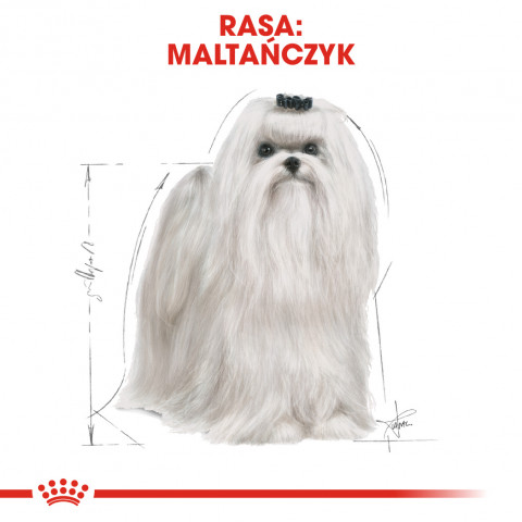 ROYAL CANIN Maltese Adult - Trockenfutter für Hunde - 1,5 kg - Fotogalerie 7