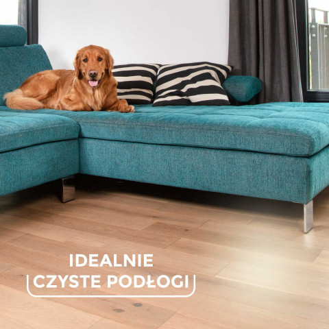Vileda Always Clean PET PRO Bürste - Fotogalerie 9