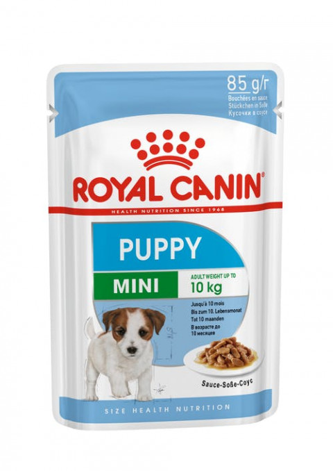ROYAL CANIN SHN Mini Puppy in Sauce - Nassfutter für Welpen - 12X85g - Fotogalerie 14