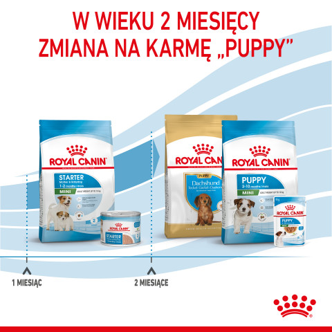 ROYAL CANIN SHN Mini Starter Mother & Babydog - Trockenfutter für Hunde - 4 kg - Fotogalerie 4
