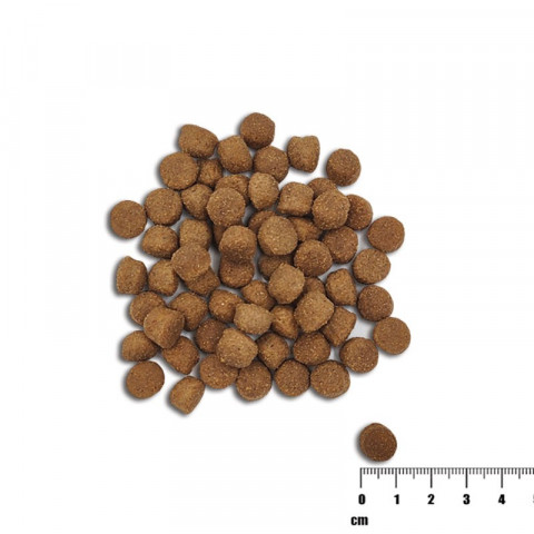 Raw Paleo Healthy Grain Puppy Lachs und Gerste – Trockenfutter für Hunde – 10 kg - Fotogalerie 2