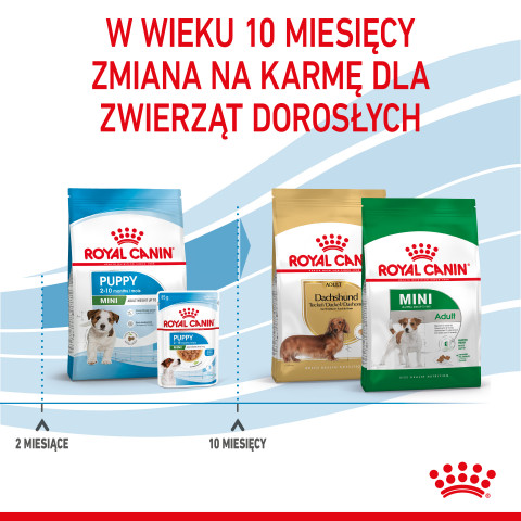 ROYAL CANIN Mini Puppy SHN - Trockenfutter für Hunde - 2 kg - Fotogalerie 2