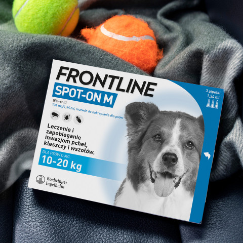 Frontline Spot- on M Parasitentropfen für Hunde 10-20 kg, 3 x 1,34 ml - Fotogalerie 6