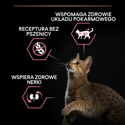 PURINA Pro Plan Delicate digestion Turkey - trockenfutter für Katzen - 400g - Fotogalerie 6
