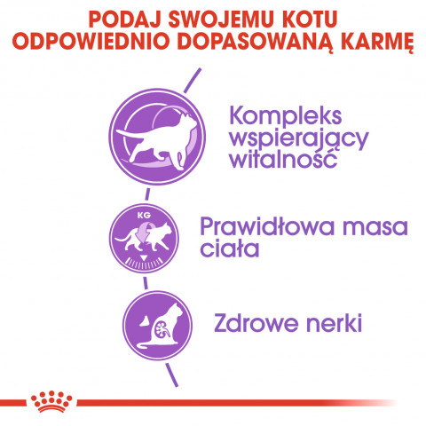 ROYAL CANIN Sterilised 7+ - Trockenfutter für Katzen - 10 kg - Fotogalerie 5