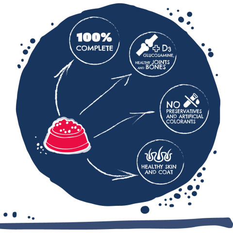 TEO Rich in beef - trockenfutter für Hunde - 15kg - Fotogalerie 2