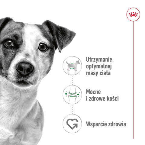 ROYAL CANIN Adult Mini S - trockenfutter für Hunde - 4kg - Fotogalerie 15