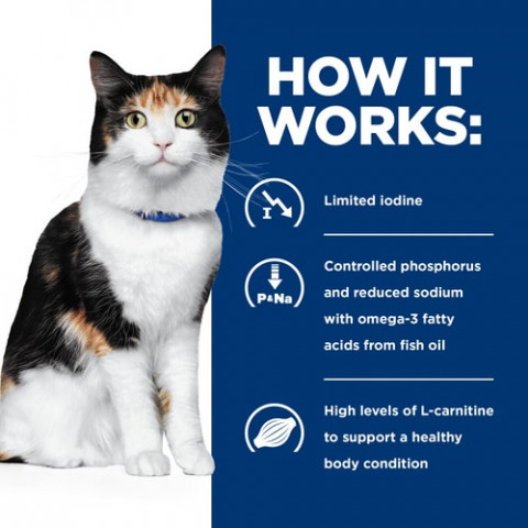 HILL'S Prescription Diet Thyroid Care Feline y/d - Katzenfutter für Katzen mit Schilddrüsenerkrankungen - Dose 12x156g - Fotogalerie 4