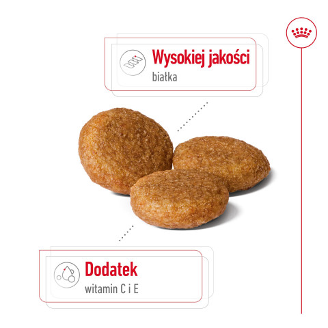 ROYAL CANIN SHN Medium Adult - trockenfutter für Hunde - 15kg - Fotogalerie 8