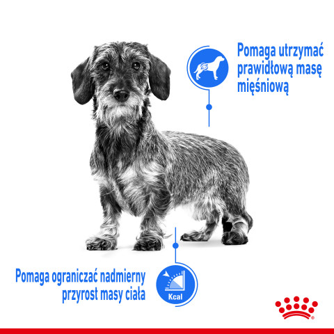 ROYAL CANIN Light Weight Care Nassfutter für Hunde Pastete 12x85 g - Fotogalerie 7