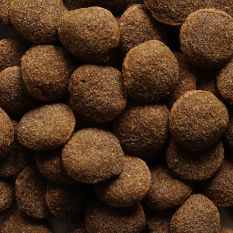 BIOFEED Nasz Pies medium & large Beef - trockenfutter für Hunde - 15kg - Fotogalerie 3