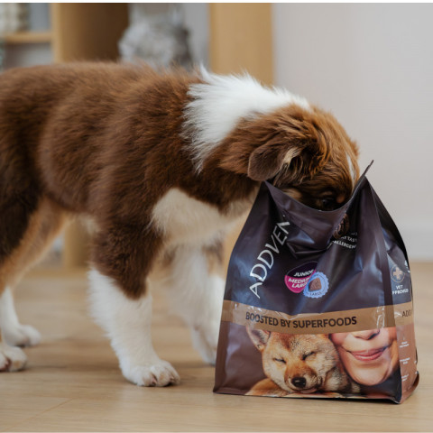 ADDVENA Boosted by superfoods Junior Medium/Large Beef - trockenfutter für Hunde - 2,5kg - Fotogalerie 4