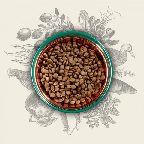EDEN Original Cousine - Trockenfutter für Katzen - 10 kg - Fotogalerie 4
