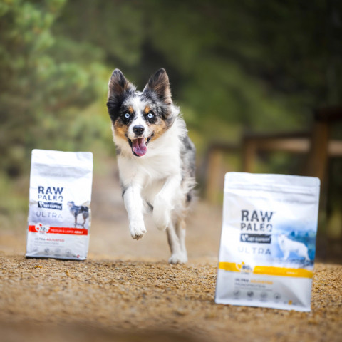 RAW PALEO Ultra Medium&Large Puppy Turkey – Trockenfutter für Welpen – 2 kg - Fotogalerie 2
