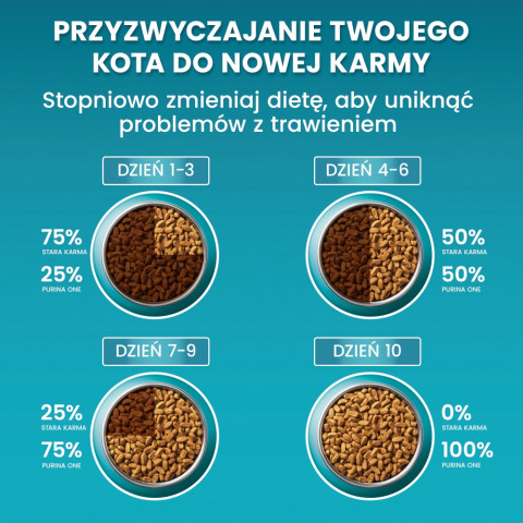 PURINA One Bifensis Adult - Trockenfutter für Katzen - 800 g - Fotogalerie 3