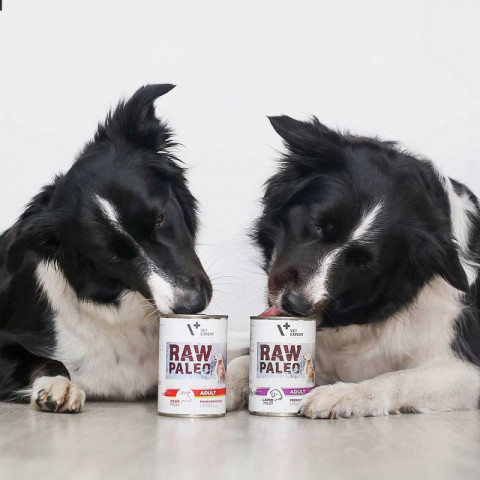 RAW PALEO Adult Monoprotein Beef – Nassfutter für Hunde – 400 g - Fotogalerie 3