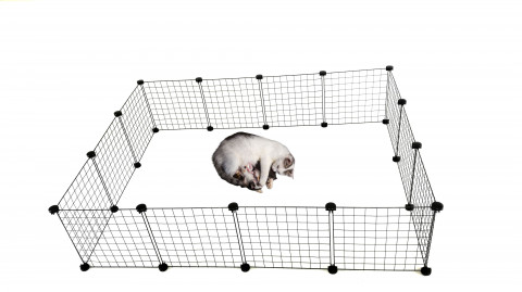 C&C Modularer Hundeauslauf 180x75 cm - Fotogalerie 5