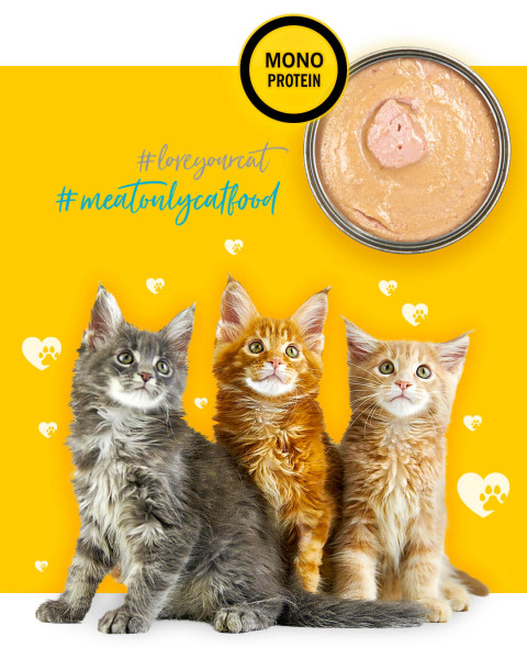 3COTY Chicken For kittens - nassfutter für Katzen - 24x80g - Fotogalerie 7