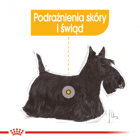 ROYAL CANIN Dermacomfort - Nassfutter für Hunde - 12 x 85 g - Fotogalerie 7